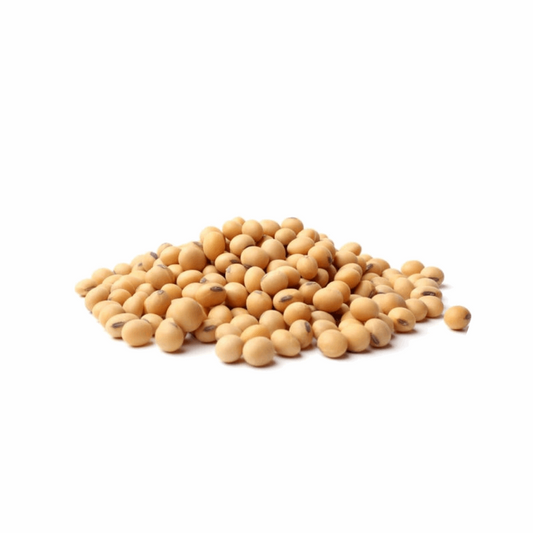 Soy Beans
